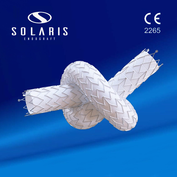 Solaris Biliary Stent